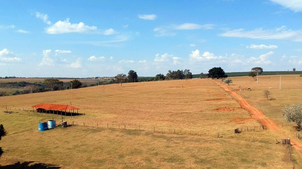 Sítio - Venda - Rio Verde - Bauru - SP